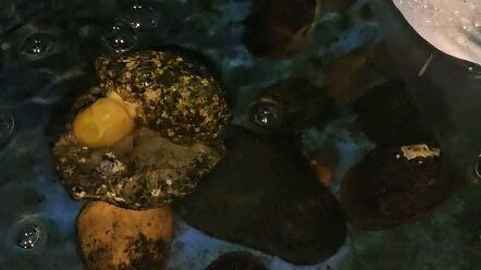 bfcfb7603e66dd7cb3eeaf8eaf28c91e14da3c92.jpg@480w_270h_1c