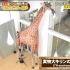 尾田荣一郎豪宅客厅参观视频来了，还有一个超大长颈鹿，壕气逼人！