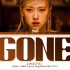 【ROSÉ】朴彩英个人新单《Gone》歌词版MV首播！