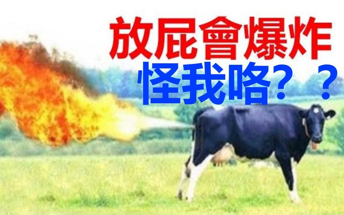 牛放屁大爆炸温室气体排放的巨大来源竟然是牛放屁世界真奇妙冷知识