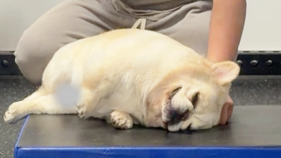 省流：装的；不啥