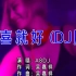 【1080P】A8放送经典闽南歌曲《欢喜就好》完整DJ版，动感悦耳，激情摇摆！