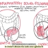 克罗恩病＆溃疡性结肠炎 | Crohn ＆ Ulcerative Colitis