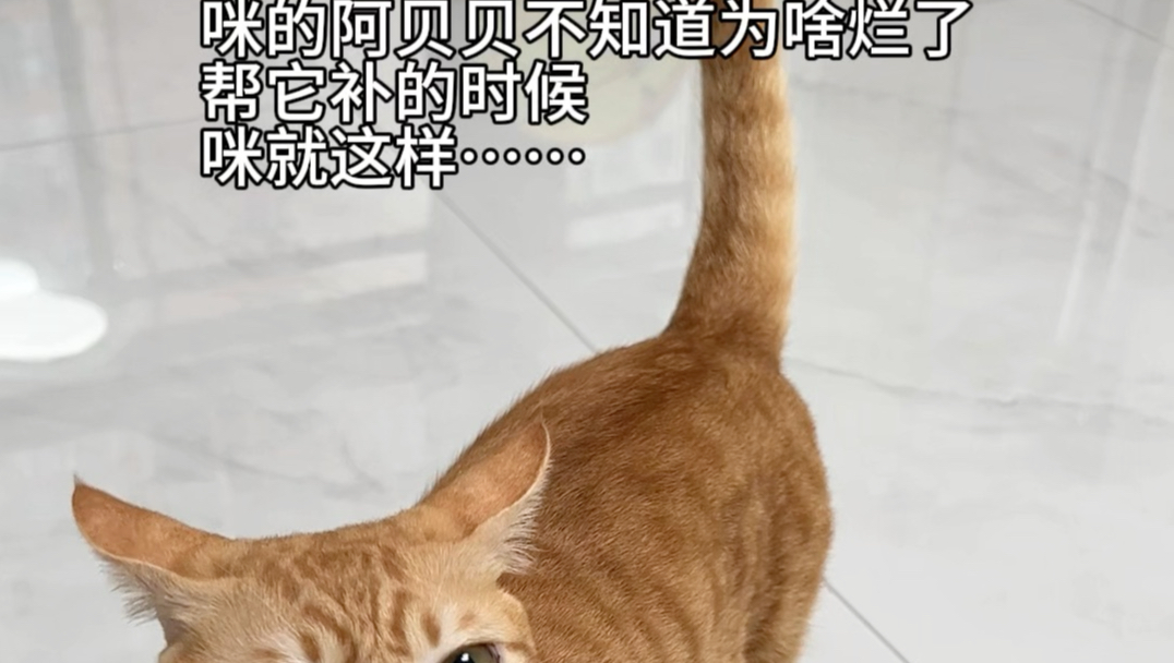 我：死手，快缝啊