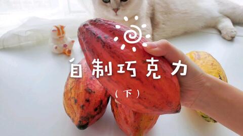 c026d12879f04d4ac606d39c98892c4136b74efe.jpg@480w_270h_1c