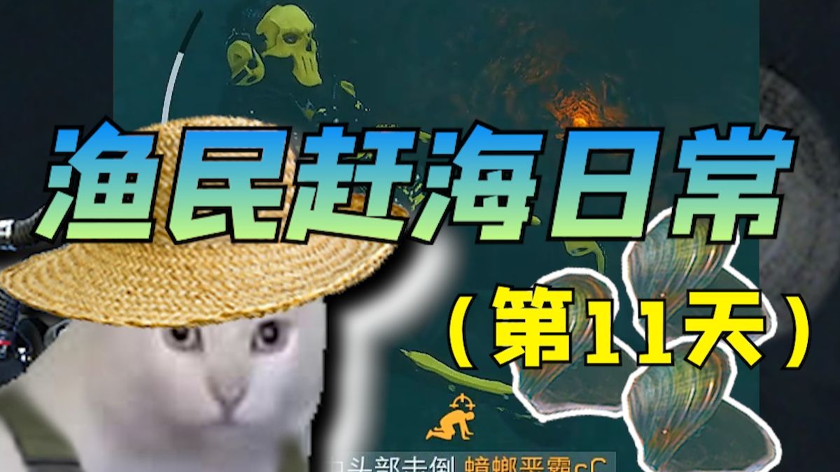 渔民赶海都能摸到啥好货（第11天）