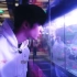 【刘耀文】【时代少年团】TNT纪录片《光环下的少年——“我相信......”》刘耀文cut