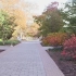 【求真带你逛名校】普林斯顿校园：落叶遍布，学术殿堂的秋天