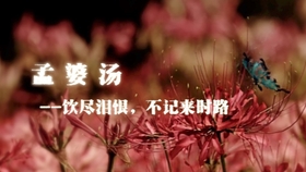 c06e60ce2bed285d285bb548cb9d80dbf5dc2edd.jpg@280w_158h_1c_100q.jpg