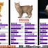 【选猫参考】57种猫的 属性面板