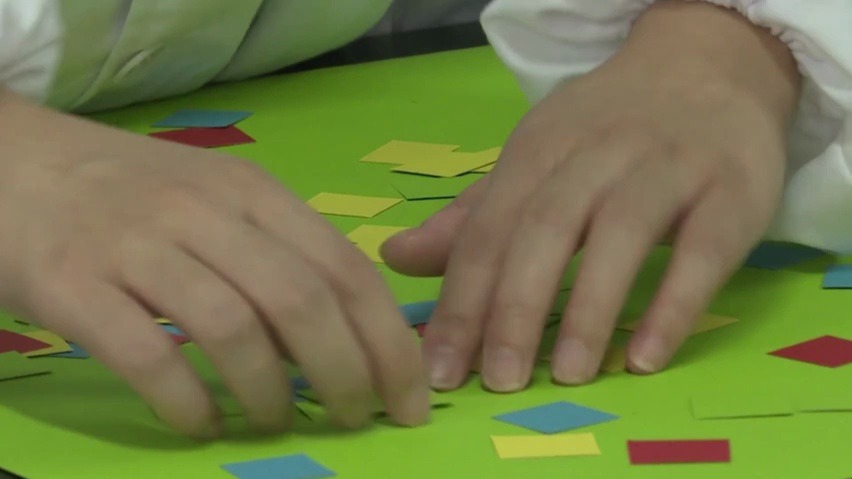 实验探究5 模拟保护色的形成过程