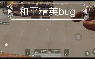 《和平精英bug》和平精英bug(视频)