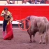 西班牙斗牛精彩瞬间：牛是真牛！斗牛士是真狗！
