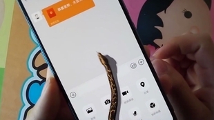 5G网络怎么调4G c0ddc443dca61b130d453268400d0ddbafca5c19.jpg@310w_174h_1c_100q.jpg