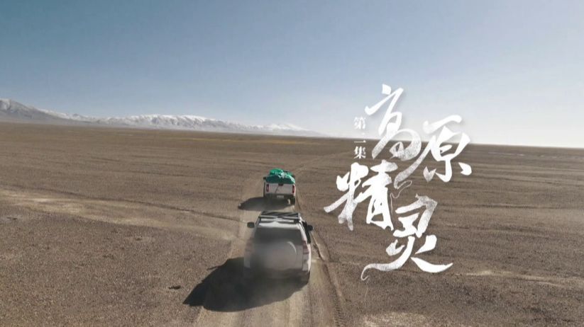 纪录片《生命树》第2集：高原精灵