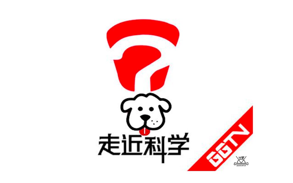 mamamoowheeinside狗狗tvep2走近科学之柴犬会跳舞