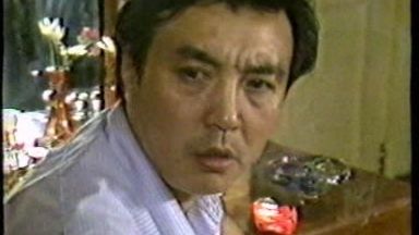 红楼谜案 (1989)【王伟平/赵静】