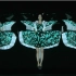 【PerfumeANY】[戛纳国际创意节银奖]尖端影像技术的高科技LIVE大揭秘