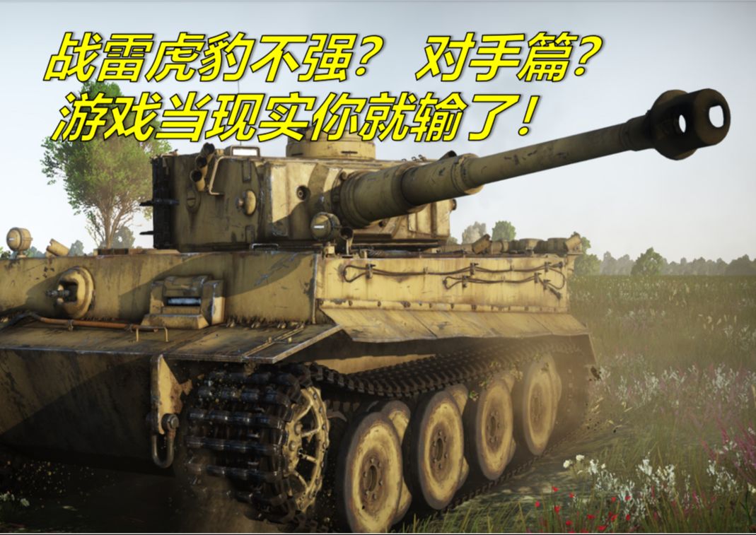 【回战雷吧6】虎式豹式坦克壮丁房不行是虎豹弱？什么都游只会害了你啊！