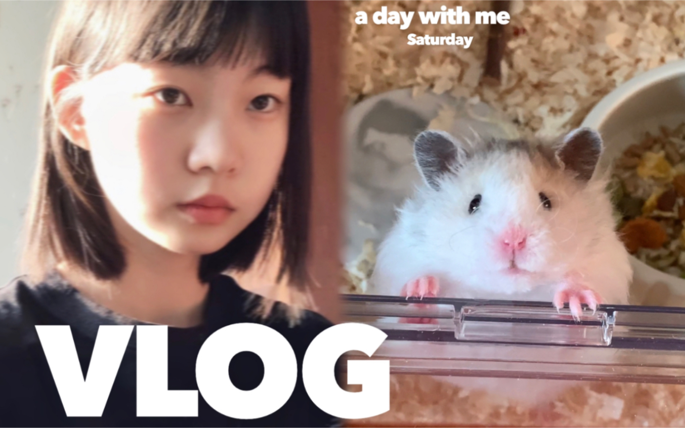 vlog-n-n