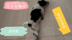 c123eb76ff99fbd7cd4212dce76f7663f91810bb.jpg@280w_158h_1c_100q.jpg