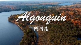c126890e6a2ac741b9412c23dea826f7c85811dc.jpg@280w_158h_1c_100q.jpg