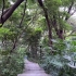 广东江门休闲散步好的地方东湖公园