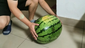 c13977078d0e7ab75301b56af9047d427506b314.jpg@280w_158h_1c_100q.jpg