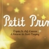 Le Petit Prince 中法字幕 动画电影 上