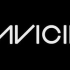 2013全球盛会Tomorrowland 瑞典DJ Avicii现场