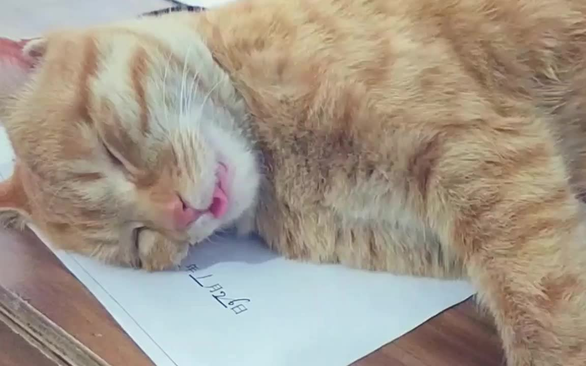 睡觉翻白眼吐舌头什么的.不存在的!