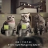 泰国广告搞笑【流氓猫 我们不能再忍受了】中文字幕