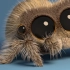 【Lucas the Spider连载更新······】一只可爱的小蜘蛛“卢卡斯” 俘获了数百万粉丝的芳心