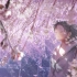 願桜　covered by yatsuki
