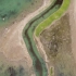 【航拍】塔里木河流域，塔克拉玛干沙漠里的馈赠