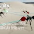【Unity ML-Agents】机器蚂蚁智能寻路