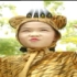 王雪晶 - 两只老虎