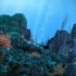 【素材】【高清无水印】73个海底世界素材