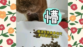 c1bb07d825947e808f782d13d39a106ff68e7a91.jpg@280w_158h_1c_100q.jpg
