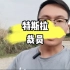 特斯拉裁员了，你觉得为什么❓ #特斯拉