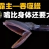 深海霸主——吞噬鳗，嘴巴比身体还要大，真的能吃掉大白鲨吗？