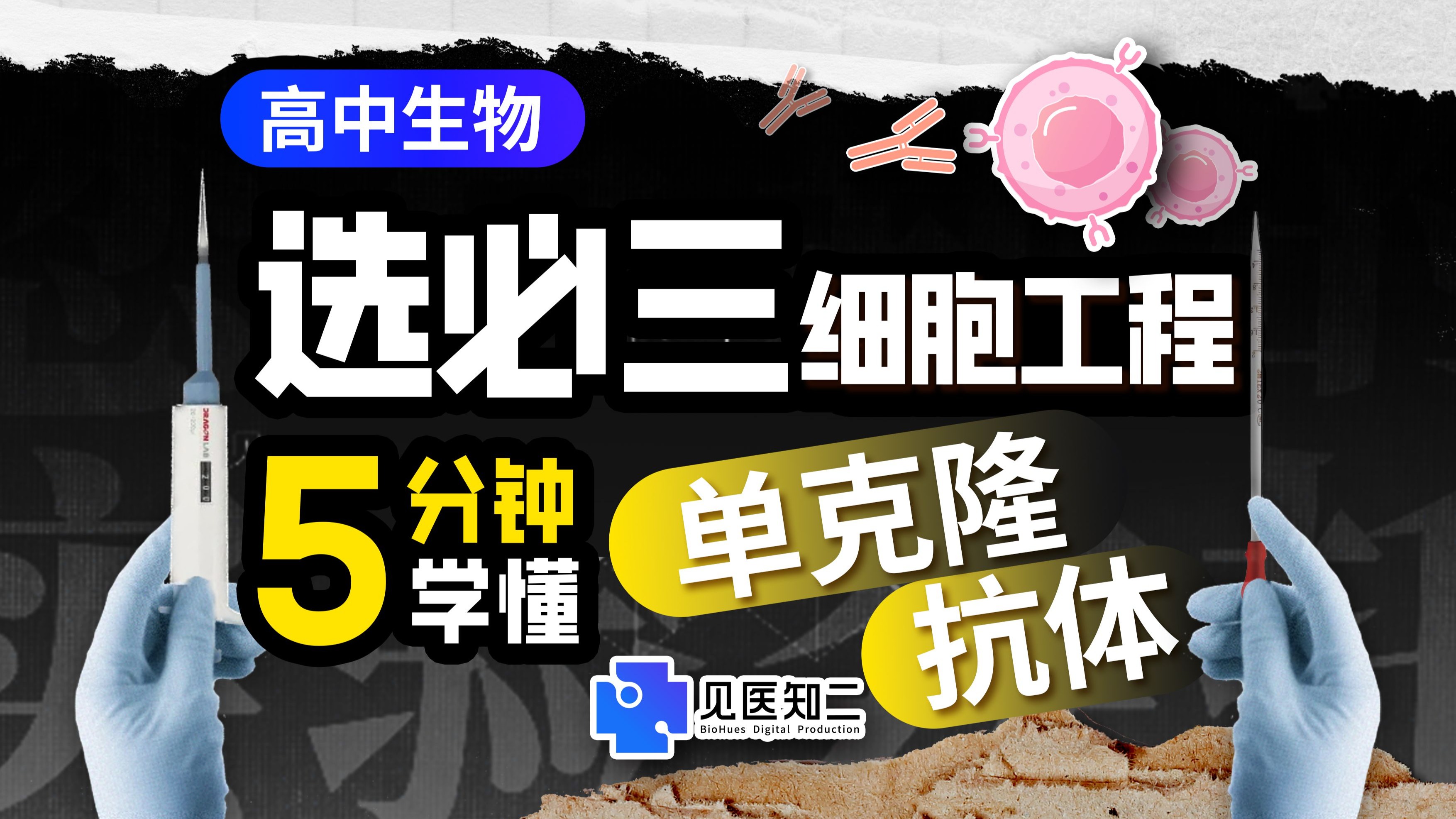 【高中生物必考点】杂交瘤+单克隆抗体的制备-选必三