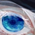 Blueberry Eyes