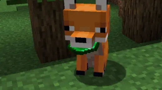 我的世界这种狐狸，你见过吗？