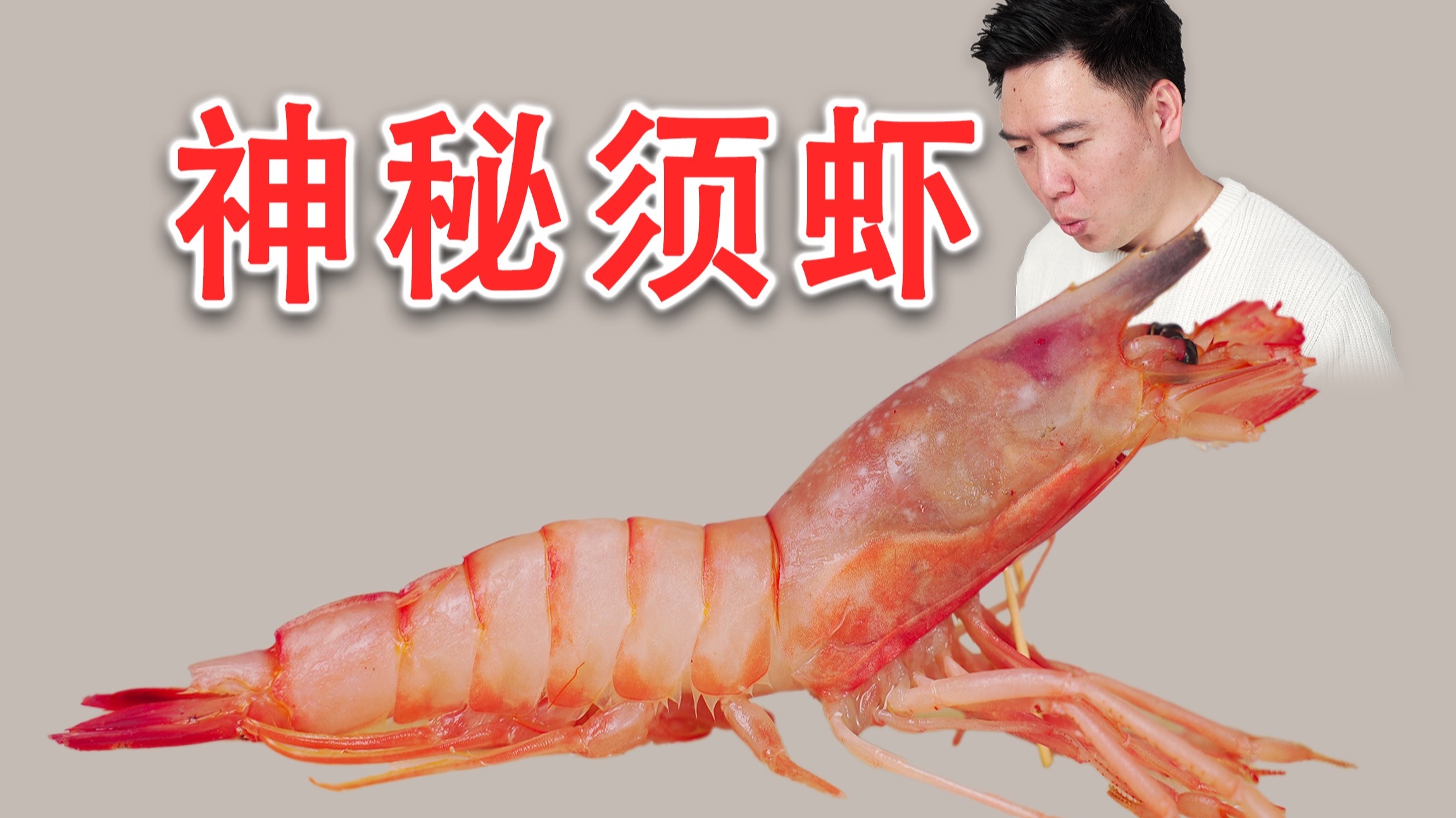 试吃专家都不认识的神秘须虾，据说虾脑还是彩色的？