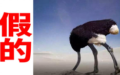 c24047e0f1169009975357885ba7b8bc4f311a1c.jpg@234w_146h_1c.png
