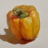 【水粉色彩】画一个黄色单个菜椒……