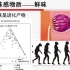 《食品感官分析》2-7