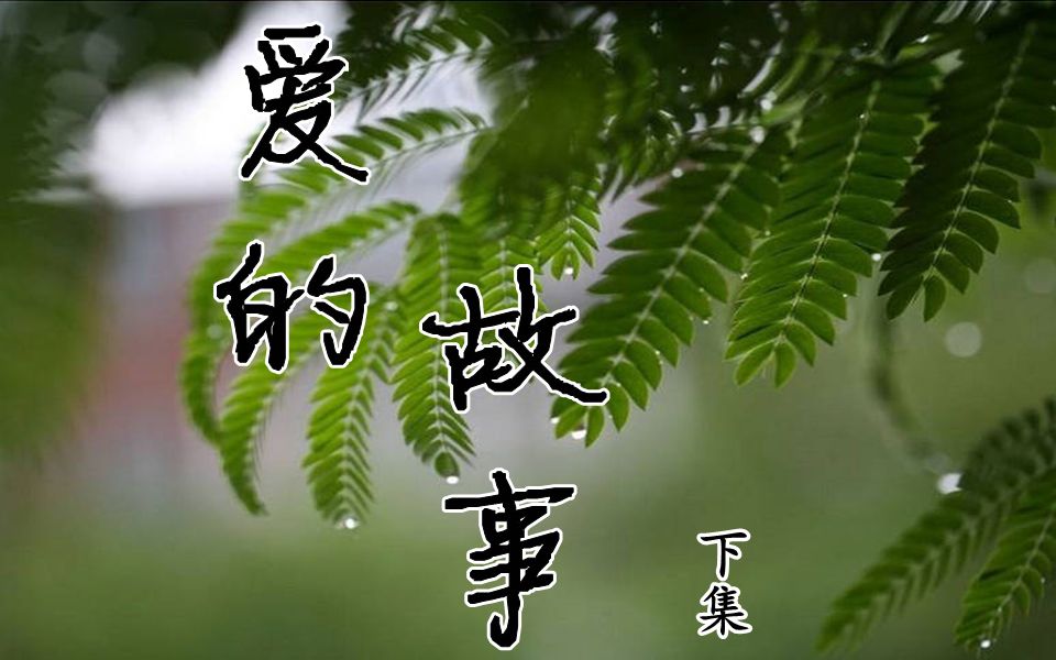 【钤光(剧情向)爱的故事 下集