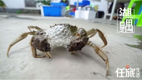 怎么编花环简单 c27f1e081e639c3772b2b8c52a70fd9551806f20.jpg@280w_158h_1c_100q.jpg